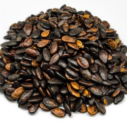 *Syrian Black Seed 15 lb